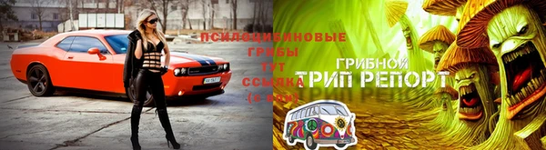 каннабис Балабаново