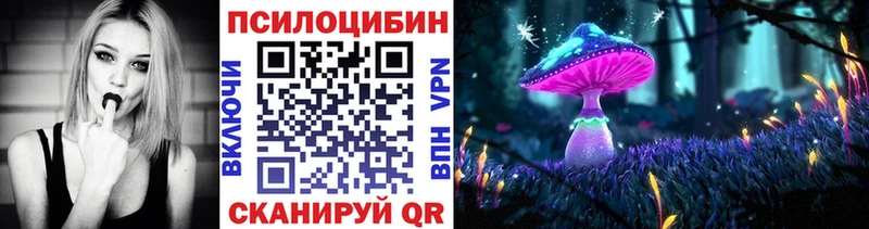 Псилоцибиновые грибы Psilocybine cubensis  Николаевск 